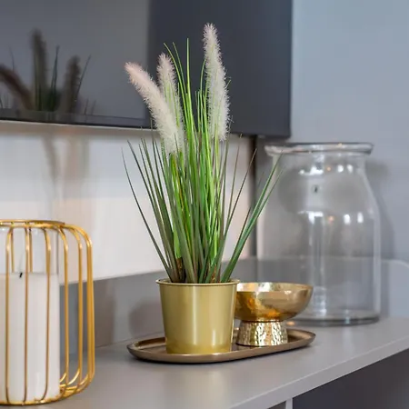 Apartmán Missi Heringsdorf (Usedom)